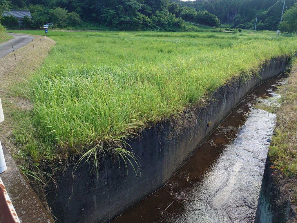 農村地域防災減災事業(用排水） 大山地区 委託7-1